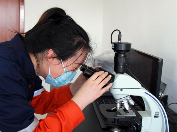 k8����������Ӯ�ҡ�һ������(�й���)�ٷ���վ