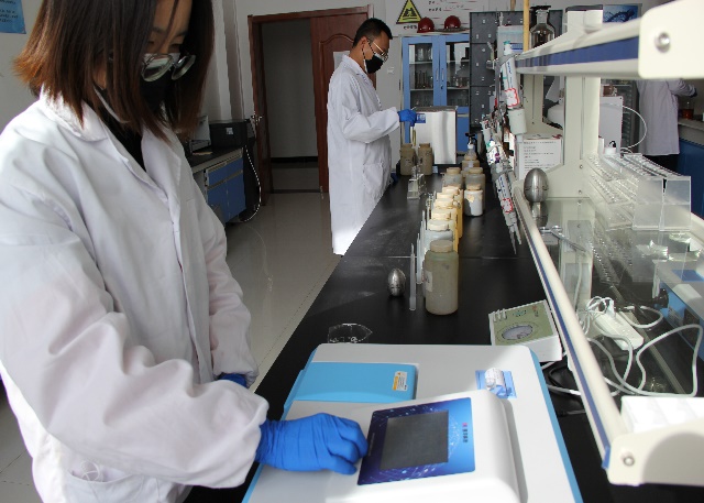 k8����������Ӯ�ҡ�һ������(�й���)�ٷ���վ