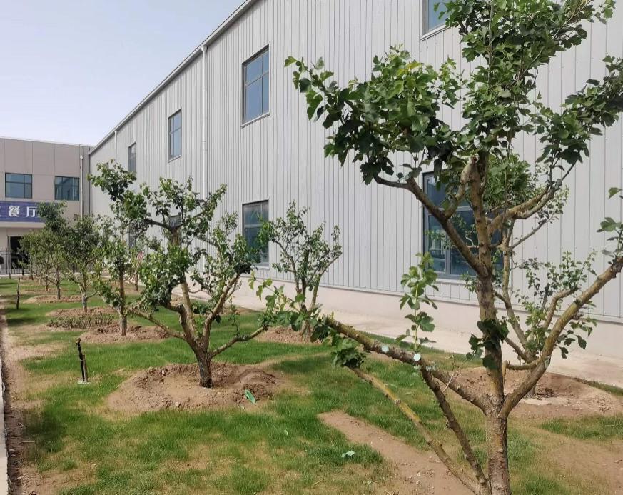 k8����������Ӯ�ҡ�һ������(�й���)�ٷ���վ