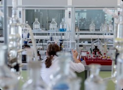 ���������Ӽ�